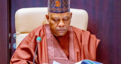 Bianca Ojukwu, Jimoh Ibrahim brief Shettima on 81st UNGA priorities, focus