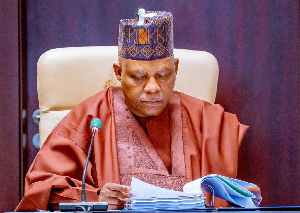 Bianca Ojukwu, Jimoh Ibrahim brief Shettima on 81st UNGA priorities, focus
