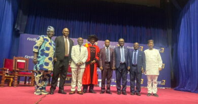 Nigerians don’t hate taxes, they want results — Amaeshi