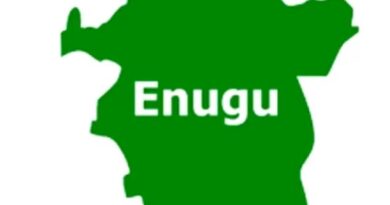 ‘Enugu LG elections recorded large turnout’