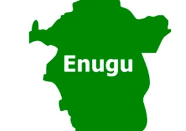 ‘Enugu LG elections recorded large turnout’