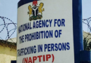 NAPTIP uncovers suspected baby trafficking ring in Cross River