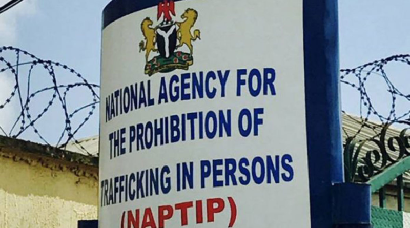 NAPTIP uncovers suspected baby trafficking ring in Cross River