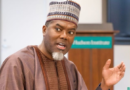 No criminal FBI record against Tinubu – Reno Omokri