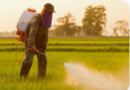 Nigeria ranks 2nd in acute pesticide poisoning in West Africa — Study