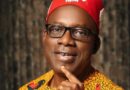 APGA gave many Igbo politicians visas to stardom – Soludo