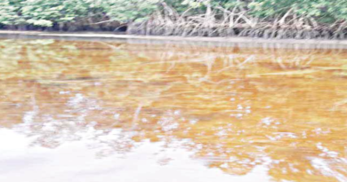 Oil spill chokes Nembe Creek communities as residents seek intervention