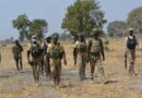 Troops foil attacks in Borno, kill four terrorists