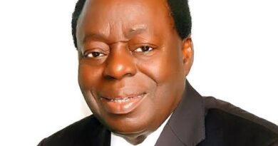 ABUAD decorates United Nigeria Airlines, Cavista Holdings chairmen with honorary degrees