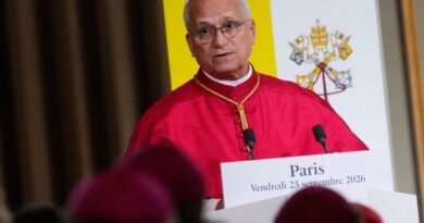 Pope Leo XIV’s brother also battling cancer – report
