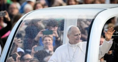 Pope will not need any therapy after cancer surgery – Doctors