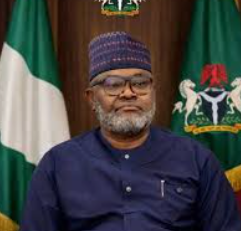 Nigeria seeks more Hungary scholarship slots for students