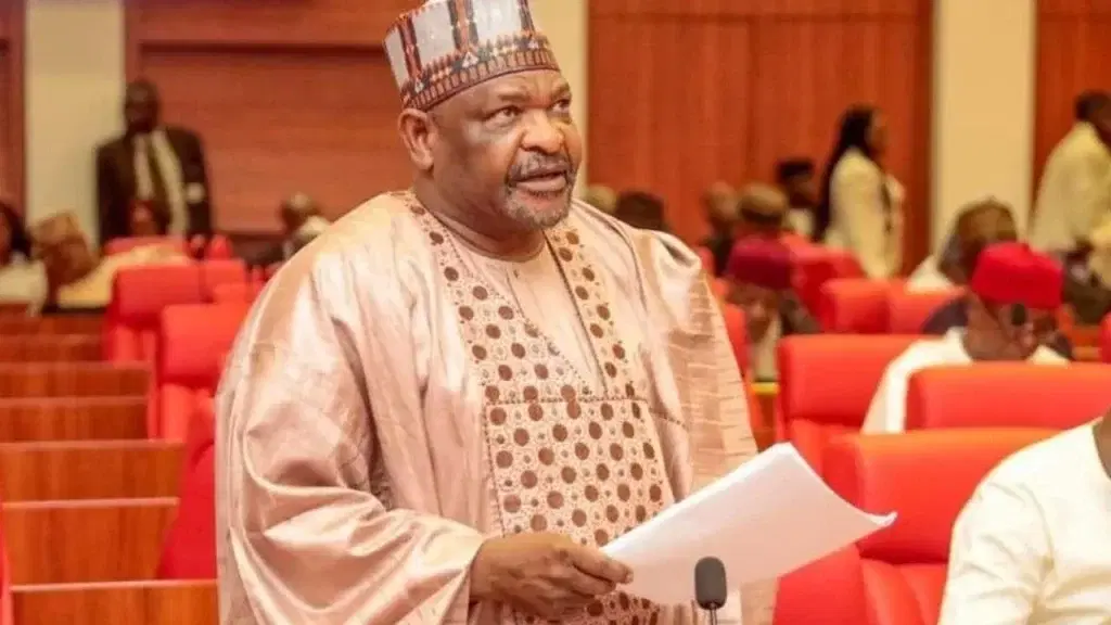 ‘He slipped, knocked head in bathroom’ – Ningi recounts Senator Mandiya’s death