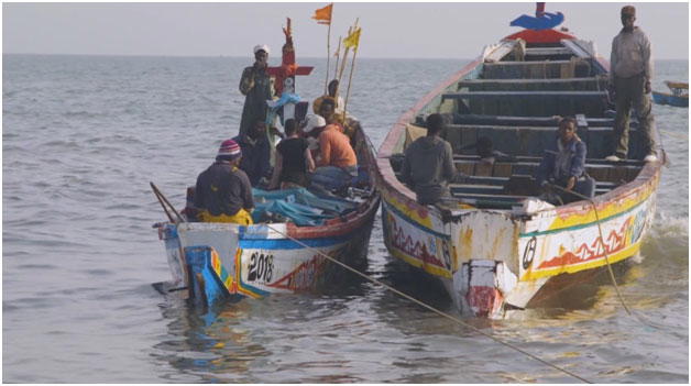 FG moves to tackle illegal fishing, maritime threats in Gulf of Guinea