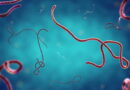 No Ebola in Niger, state on high alert — Health Director