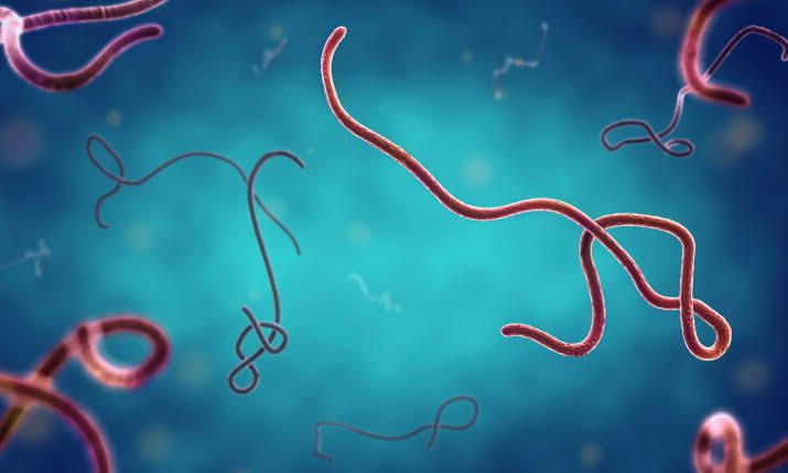 Ebola: FG quarantines high-risk contacts, allays fears; patient zero shows signs of recovery