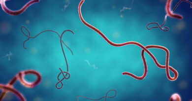 Ebola: FG quarantines high-risk contacts, allays fears; patient zero shows signs of recovery