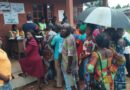 Edo election