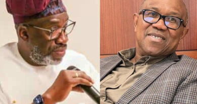Peter Obi, Obidients biggest obstacle to Igbo presidency –   Segun Sowunmi