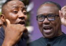 2027: Sowore slams NDC, accuses Obi of renting party every election