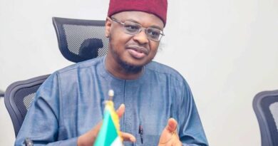AI will only replace unskilled workers, not humans - Pantami