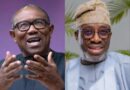 Video: Peter Obi has made Obidients everybody’s enemy — Sowunmi