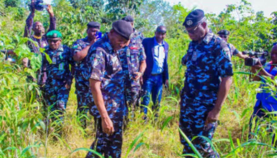Nigerian newspapers review: Army, DSS, Police comb Imo forest in search of kidnapped corps members