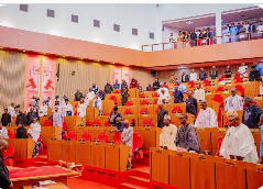 Senate passes bill for Borno agriculture college