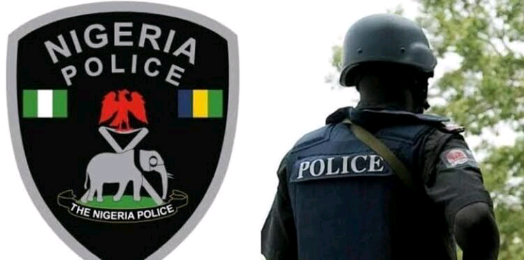 The Nigeria Police Force