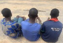 Family of 6 killed in Oyo over damaged phone as police parade suspects