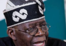 Amnesty condemns cancellation of Tinubu book presentation