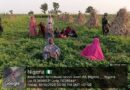 Troops rescue 27 abducted residents in Katsina Forest