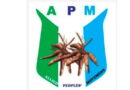 Nigeria @66: We deserve democracy’s benefits, not hardship, empty promises — APM