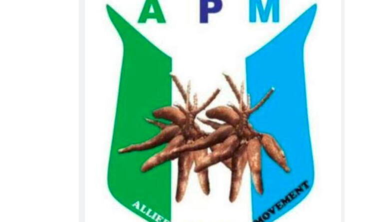 Nigeria @66: We deserve democracy’s benefits, not hardship, empty promises — APM