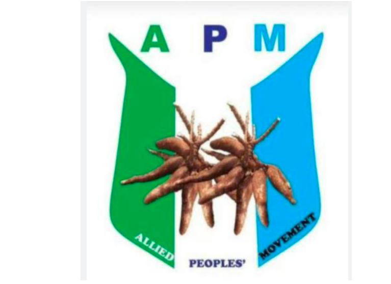 Nigeria @66: We deserve democracy’s benefits, not hardship, empty promises — APM
