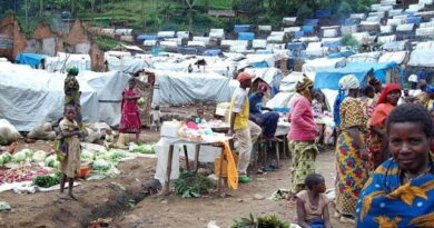 Benue SEMA spends N160m on snakebite treatment for IDPs
