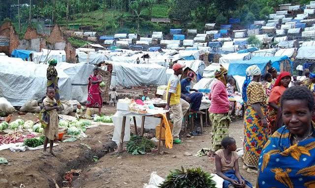 Benue SEMA spends N160m on snakebite treatment for IDPs