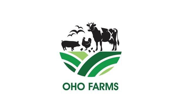 OHO Group of Companies —Grow, Build, Connect, Thrive