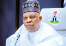Tinubu saved Nigeria from collapse – Shettima