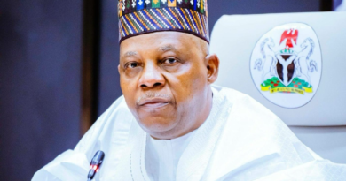Ondo crash: Nigeria owes an enduring debt of gratitude to officers – Shettima 
