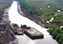 Oil Spill in Delta: When environment is destroyed from within and without - black tide ‘swallows 216 communities’