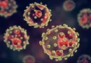 Anambra confirms Lassa fever case, activates emergency response