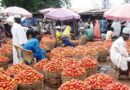 Nigeria’s 11m-tonne cold storage gap exposes food supply weakness