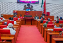 Senate bill to decriminalise attempted suicide passes second reading