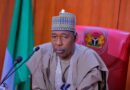 Zulum calls for coordinated military offensive in the Lake Chad